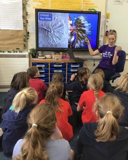 An amazing morning in year 3 learning all about some interesting rocks with a visit from a local geologist. We got to explore ammonites, coprolites and even space rocks! 🦖🪨☄️