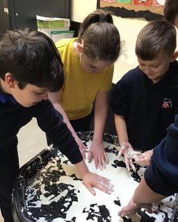 Year 5 have made oobleck today as part of our science investigation on Newtonian fluids.