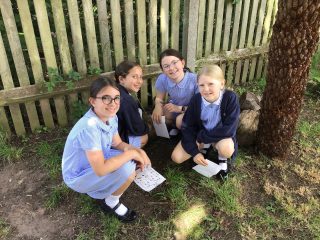 Great day for science outdoor learning in Year 4, using the environment to explore living things and their habitats.